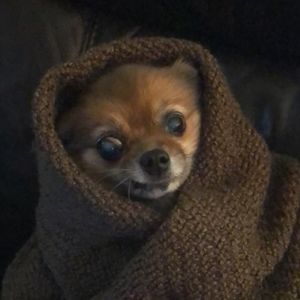 Meet your Posher, Stacy